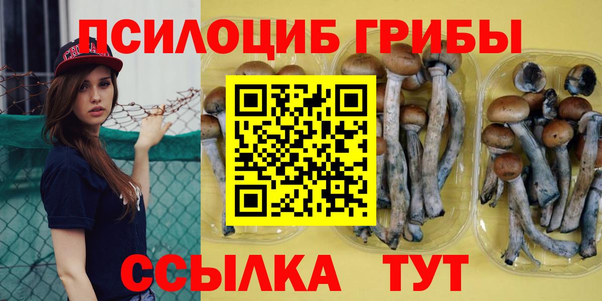 Псилоцибиновые грибы ЛСД Раменское